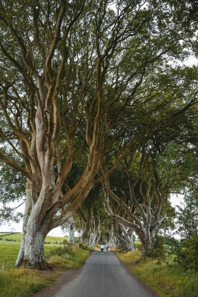 pexels-clement-proust-363898785-29622475