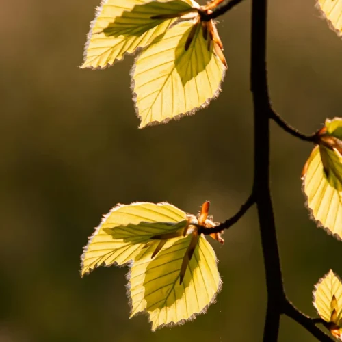 richard-loader-NWJq7_zg0_Q-unsplash